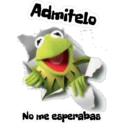 Rene 