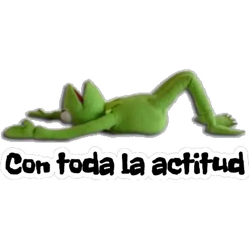 Rene 