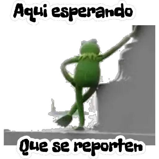 Rene 