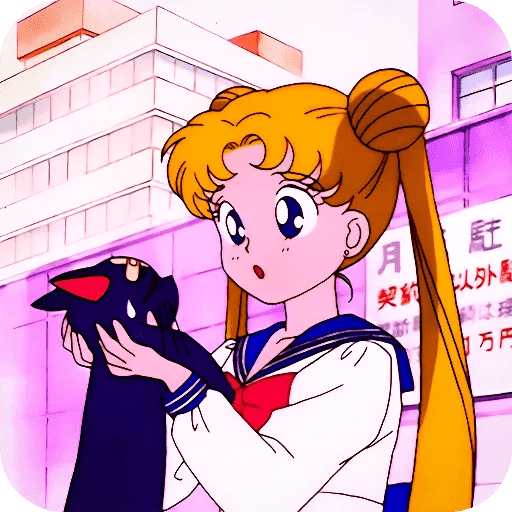 Sailor Moon ✨⭐️🌟 preview