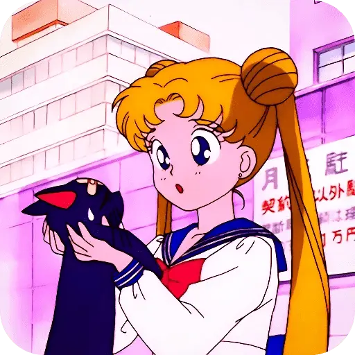 Sailor Moon ✨⭐️🌟