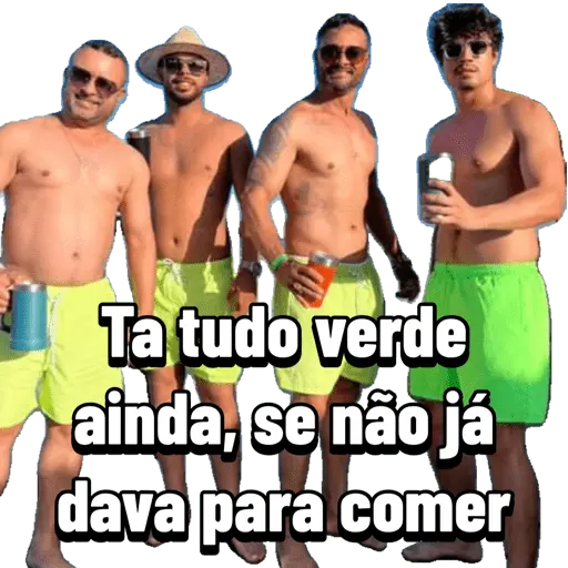 Minhas figurinhas