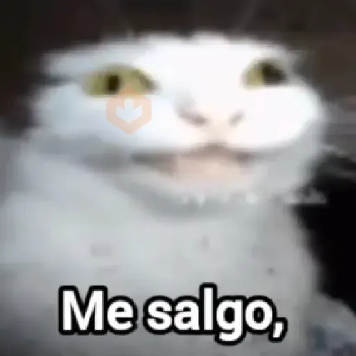 📟 Codigo gatito fortnite 🐱🐾 sticker 15