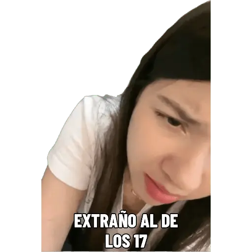 Mis pegatinas
