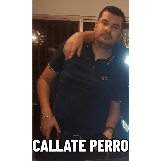 Mis pegatinas