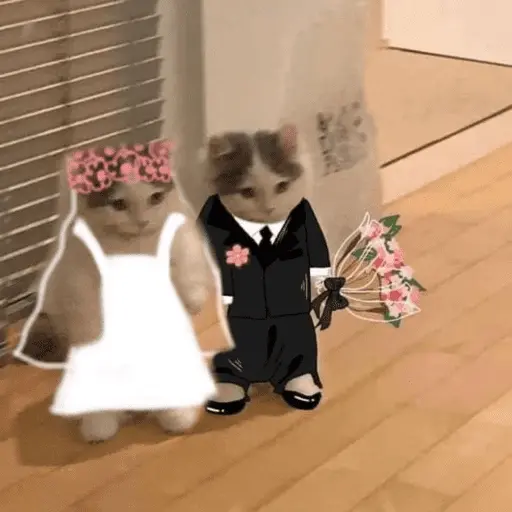 Memes para novios 💕