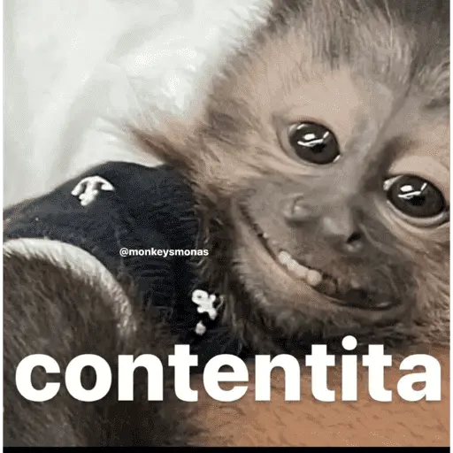 Hot🫦