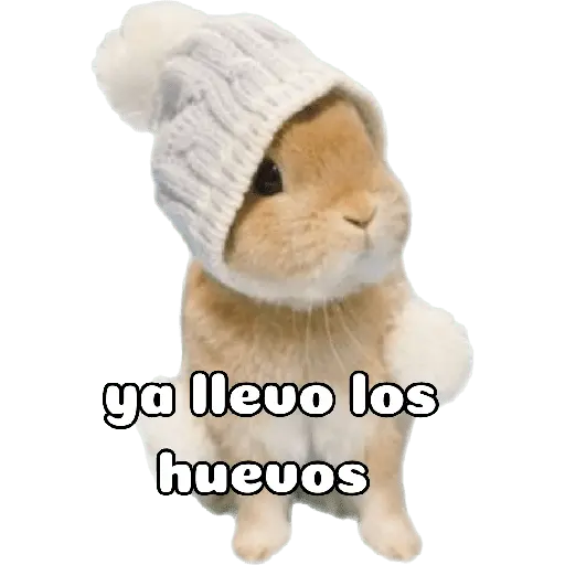 felices pascua 