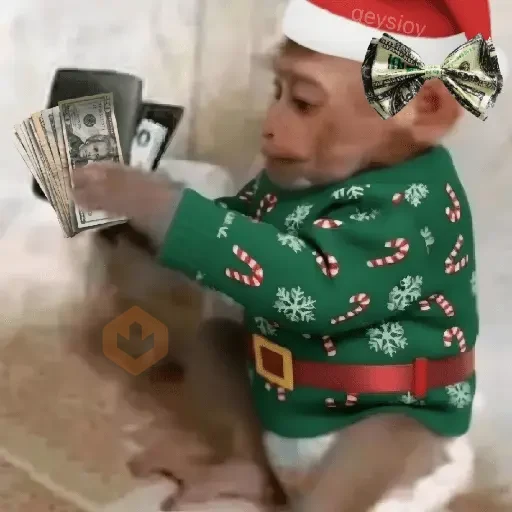 Monos Navidad🎄Changos 🐒