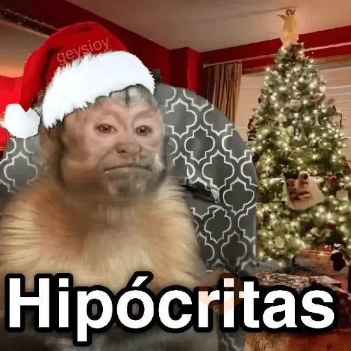 Monos Navidad🎄Changos 🐒