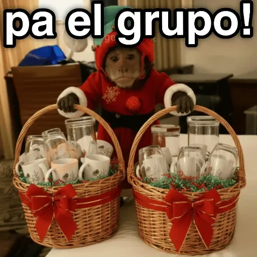 Monos Navidad🎄Changos 🐒