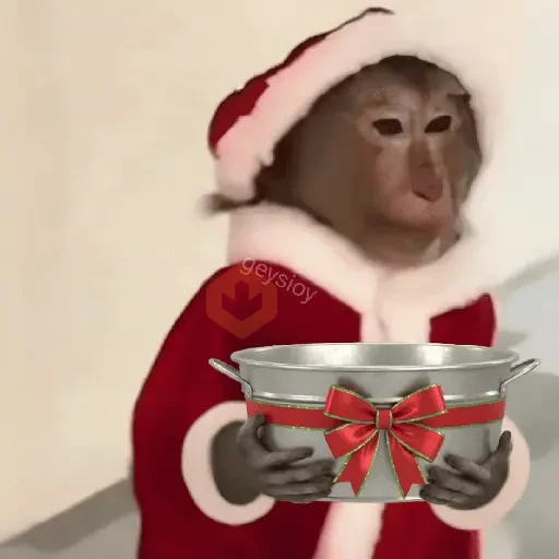 Monos Navidad🎄Changos 🐒