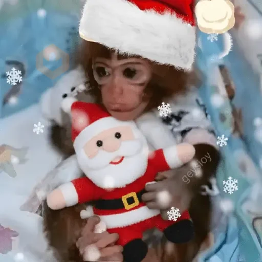 Monos Navidad🎄Changos 🐒