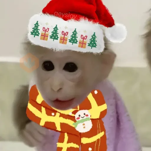 Monos Navidad🎄Changos 🐒