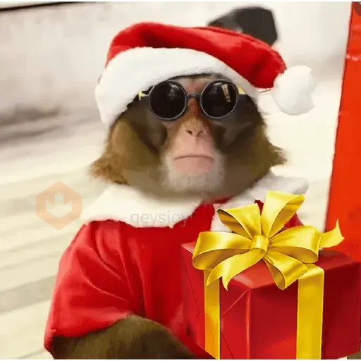 Monos Navidad🎄Changos 🐒