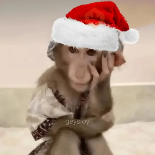 Monos Navidad🎄Changos 🐒