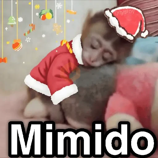 Monos Navidad🎄Changos 🐒