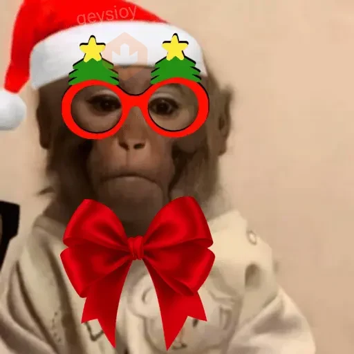 Monos Navidad🎄Changos 🐒