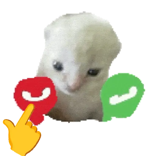 Gatos Cat call 📲 Michis 😺