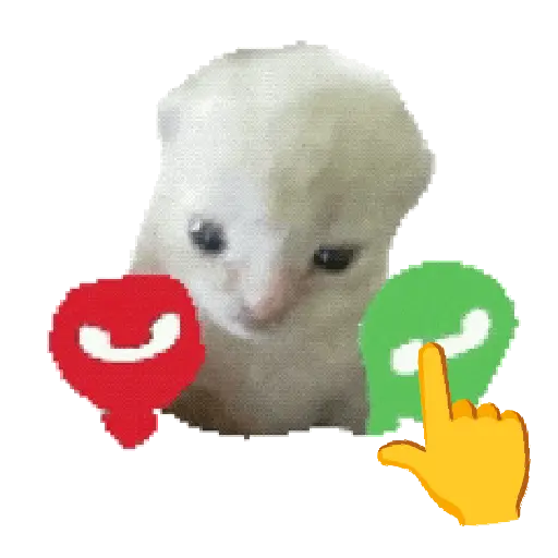 Gatos Cat call 📲 Michis 😺