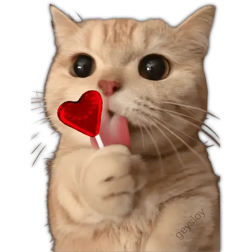 San Valentín 2 ♥️ Paleta 🍭