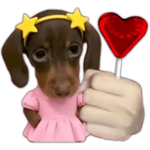 San Valentín 2 ♥️ Paleta 🍭