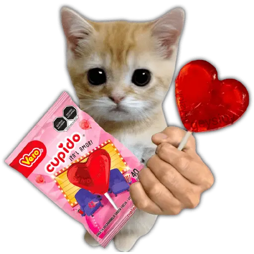 San Valentín 2 ♥️ Paleta 🍭