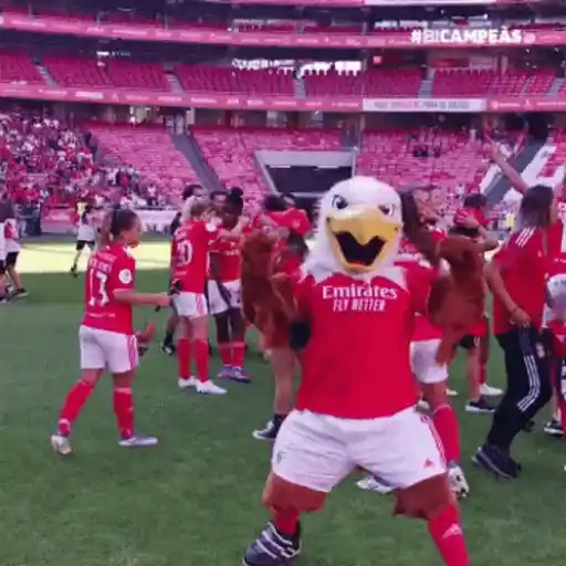 Benfica - Prestianni