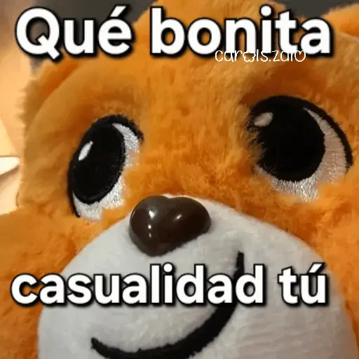 Ositos Cariñositos Coqueto 😍