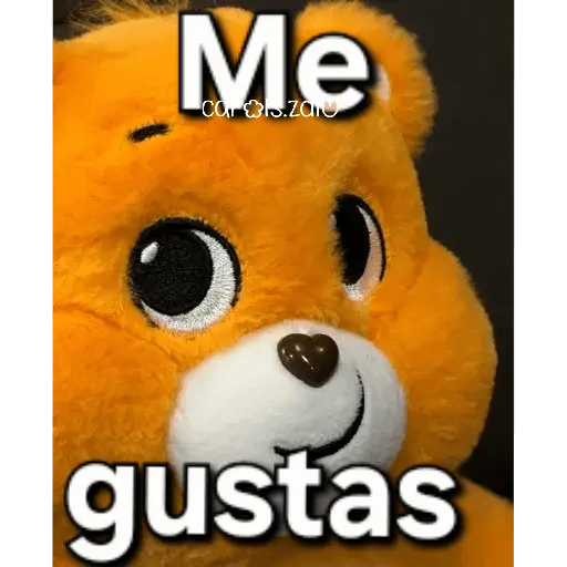 Ositos Cariñositos Coqueto 😍