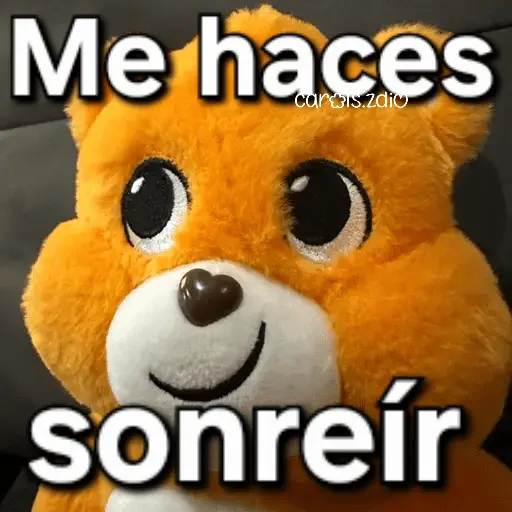 Ositos Cariñositos Coqueto 😍
