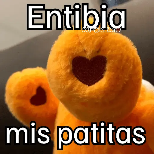 Ositos Cariñositos Coqueto 😍