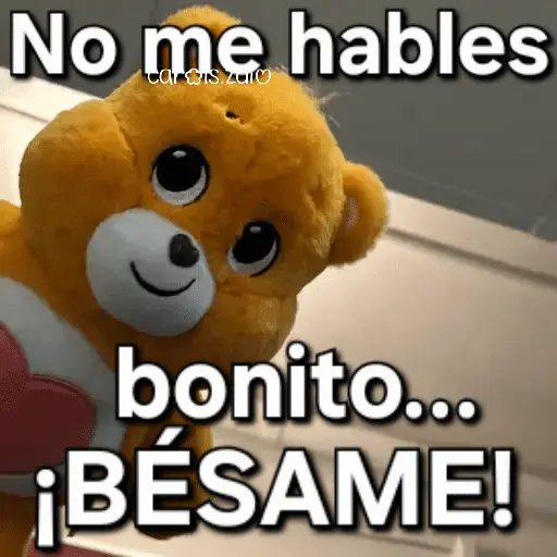 Ositos Cariñositos Coqueto 😍