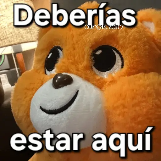 Ositos Cariñositos Coqueto 😍