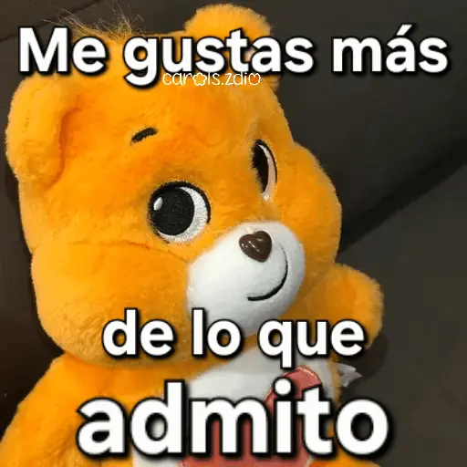 Ositos Cariñositos Coqueto 😍