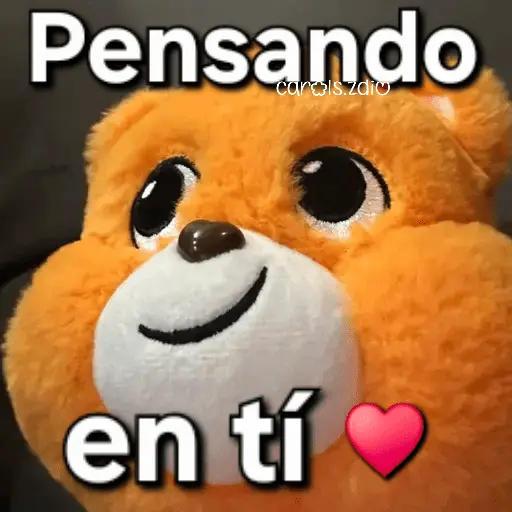 Ositos Cariñositos Coqueto 😍
