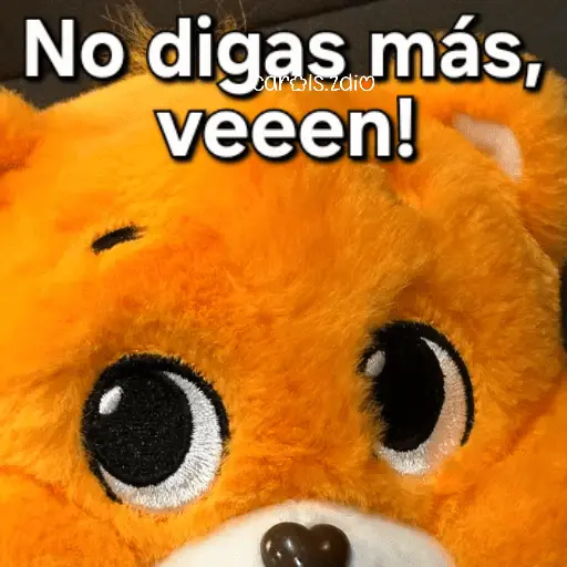 Ositos Cariñositos Coqueto 😍