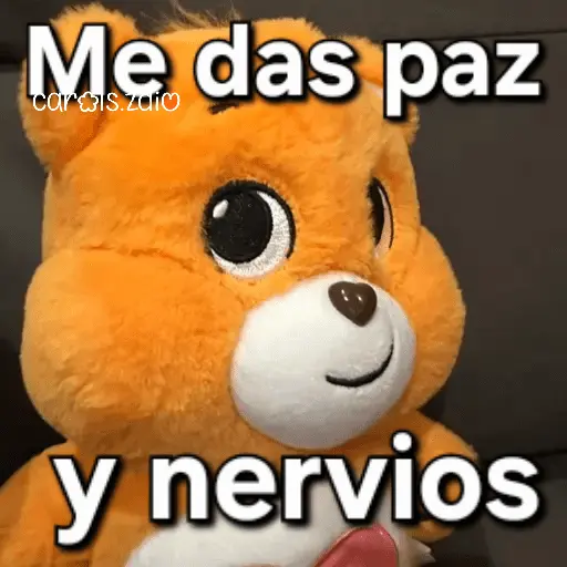 Ositos Cariñositos Coqueto 😍