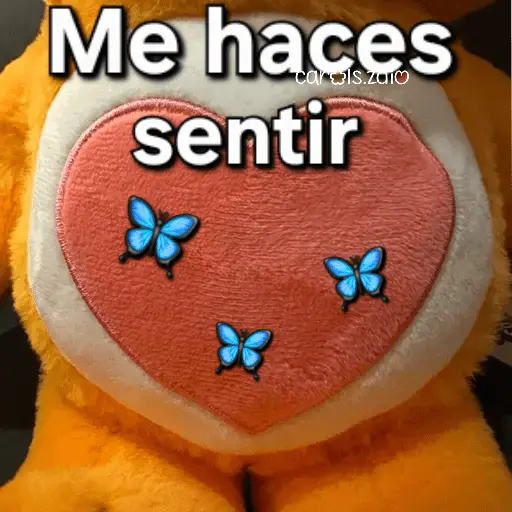 Ositos Cariñositos Coqueto 😍