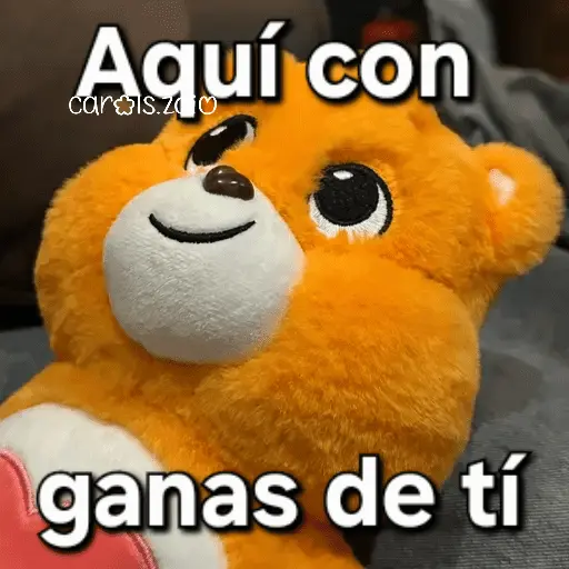 Ositos Cariñositos Coqueto 😍