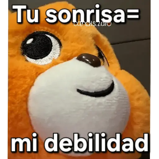Ositos Cariñositos Coqueto 😍