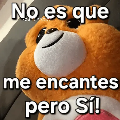 Ositos Cariñositos Coqueto 😍