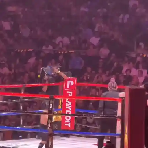 🥊Ring Royale Abelito 👑