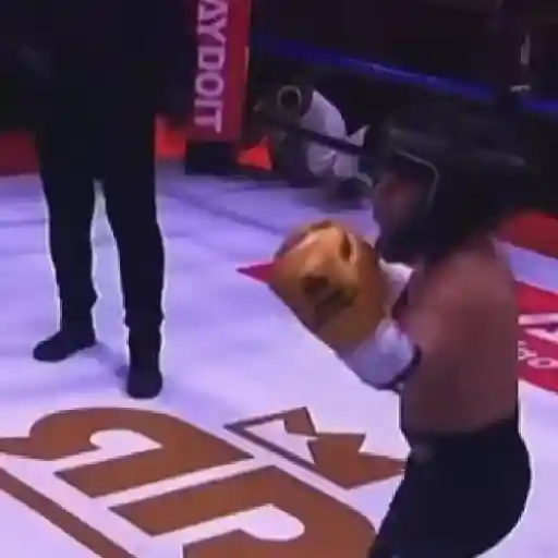 🥊Ring Royale Abelito 👑