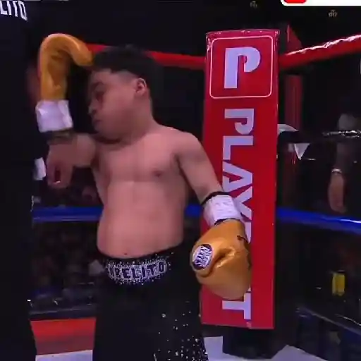 🥊Ring Royale Abelito 👑 preview