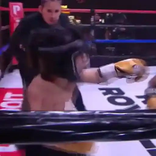 🥊Ring Royale Abelito 👑 preview