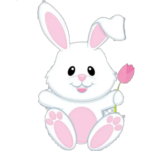 variado 🐰
