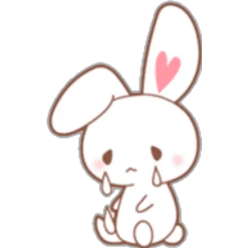 variado 🐰