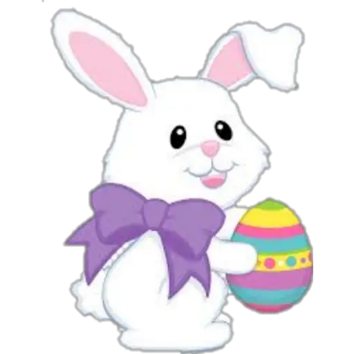 variado 🐰  preview