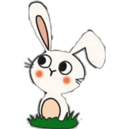 variado 🐰